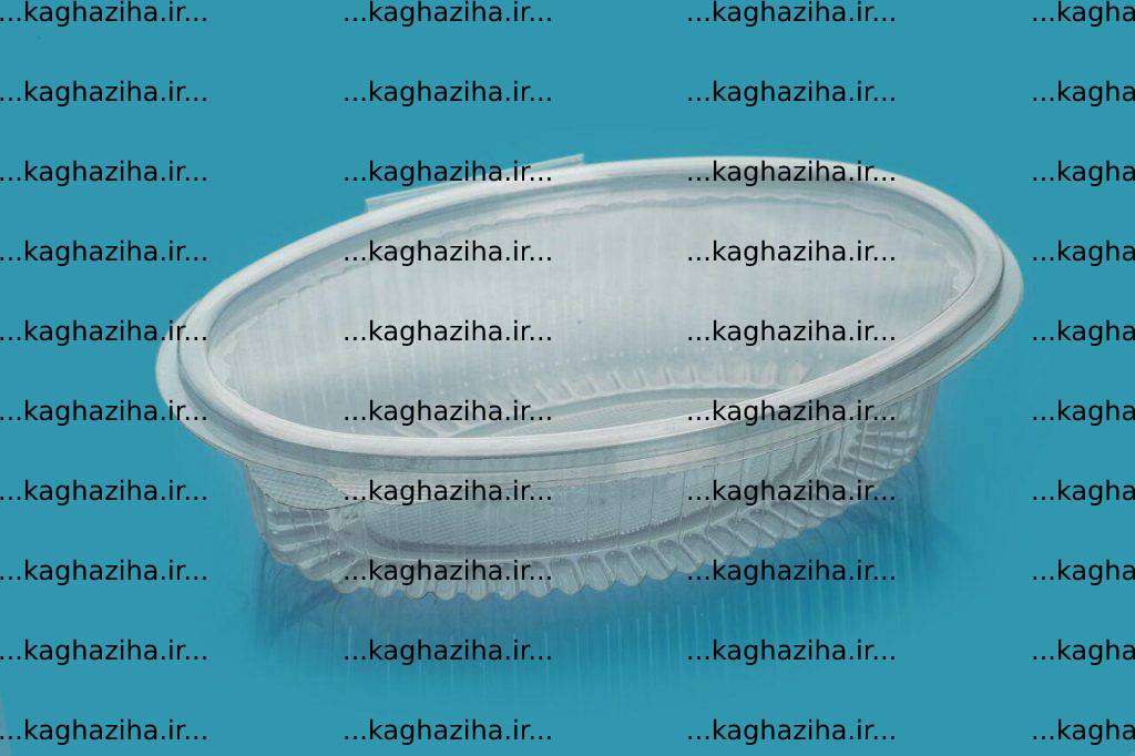 ظروف بسته بندی یکبارمصرف پلاستیکی پرشیا همراه ظروف لوکس در مجموعه فروش باریزان